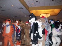 Fursuit Games at Furfright