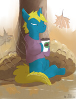 Coffee Afternoon