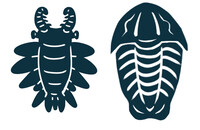 Cambrian Critters