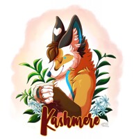 Badge trade: Kashmere