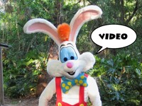 VIDEO: Tilt Longtail's Random Video 2018