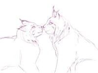 Lynxs scketch
