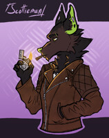 Smoke 'em If You Got 'em