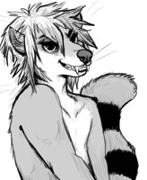 mongoose sketch