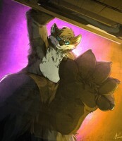 Shiro II - Commission