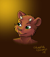 Demon Bear