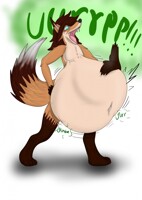 Coyote with a full gut