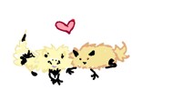 avis lamb