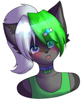 [C] Kuro Derp