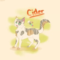 Cider ref