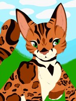 Stella the savanna cat