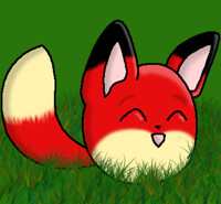 PO - Bundle Fox