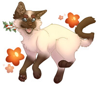 [Christmas Wish]|[ I feel like a Waterfall]|