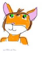 Neko.Gift