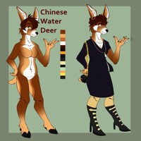 Chinese Water Deer Adopt {OPEN}
