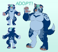 Blue Collie Adopt