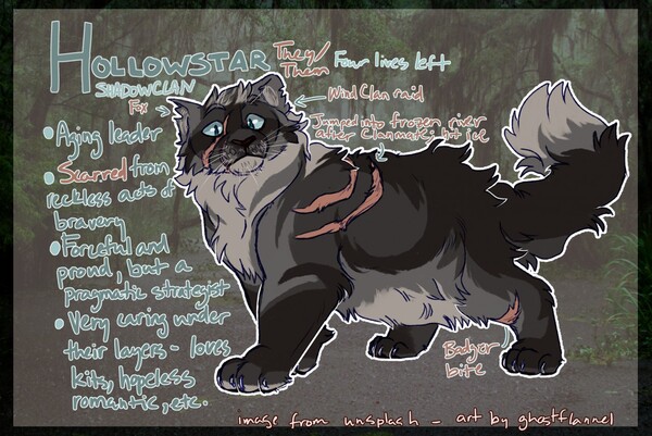 New Feralfront Oc! (Warrior Cat) Name/Clan?