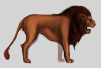 lion