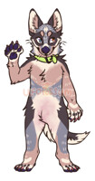 cattle dog ota - closed (old art)