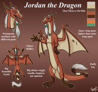 (Commission) Jordan Artistic Liberty Design
