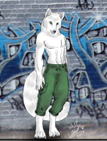 Ryanr Commision-Ryanr Fox-No Hair.jpg