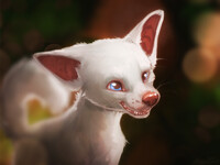 Bhoot