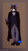 stylish raccoon