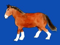 gift art for my horse
