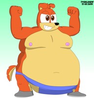Sumo Chase