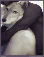 neck warmer