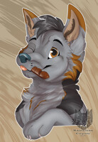 [C] - Zaliphyr