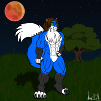 Werefox - Super Blood Wolf Moon Eclipse (01-20-2019)
