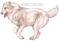 Gaia Single