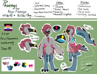 Introducing Phoenyx!