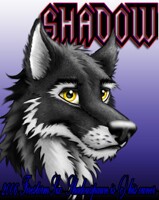 Shadowspawn Wolf Badge pic