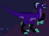 don't look at me like that