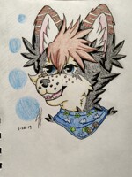 Amaretto Headshot