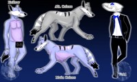 Hollow ref