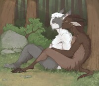 Forest silence
