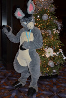 Gitano by the Tree