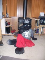 Right Paw Forward