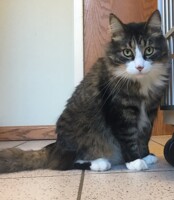 “Are we done now?