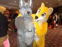 mff 2018 found a wolfe
