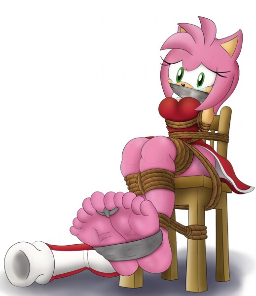Amy Rose, the cute, yet stro ... 
