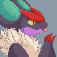 My profile picture