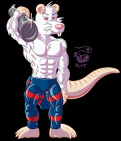 Gym Rat