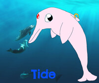 Tide~