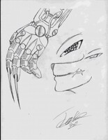 Jester Detail Refrences