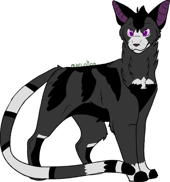 Warrior Cats Design #5) Ravenpaw by Wolfie-Moonscar -- Fur Affinity [dot]  net