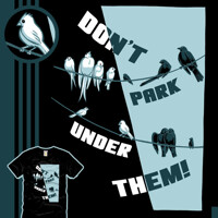 THE BIRDS! Don't park under them!